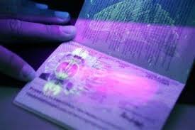 Биометрические загранпаспорта выдают с 12 января 2015 